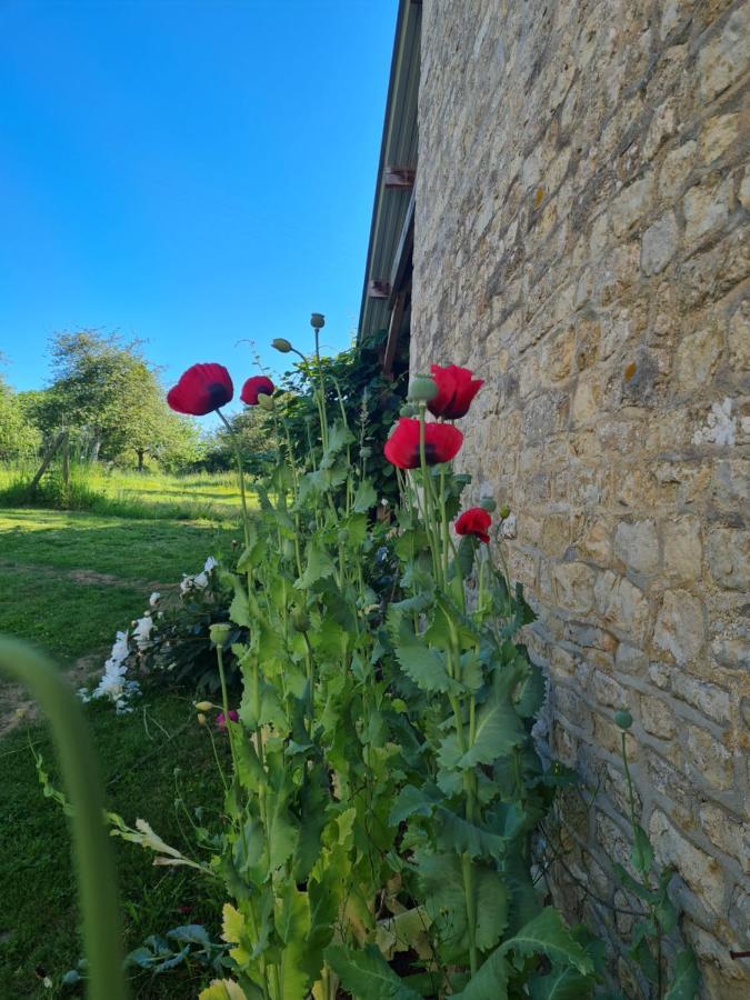 Domaine De La Cour Vautier Bed & Breakfast Mandeville-en-Bessin Eksteriør bilde