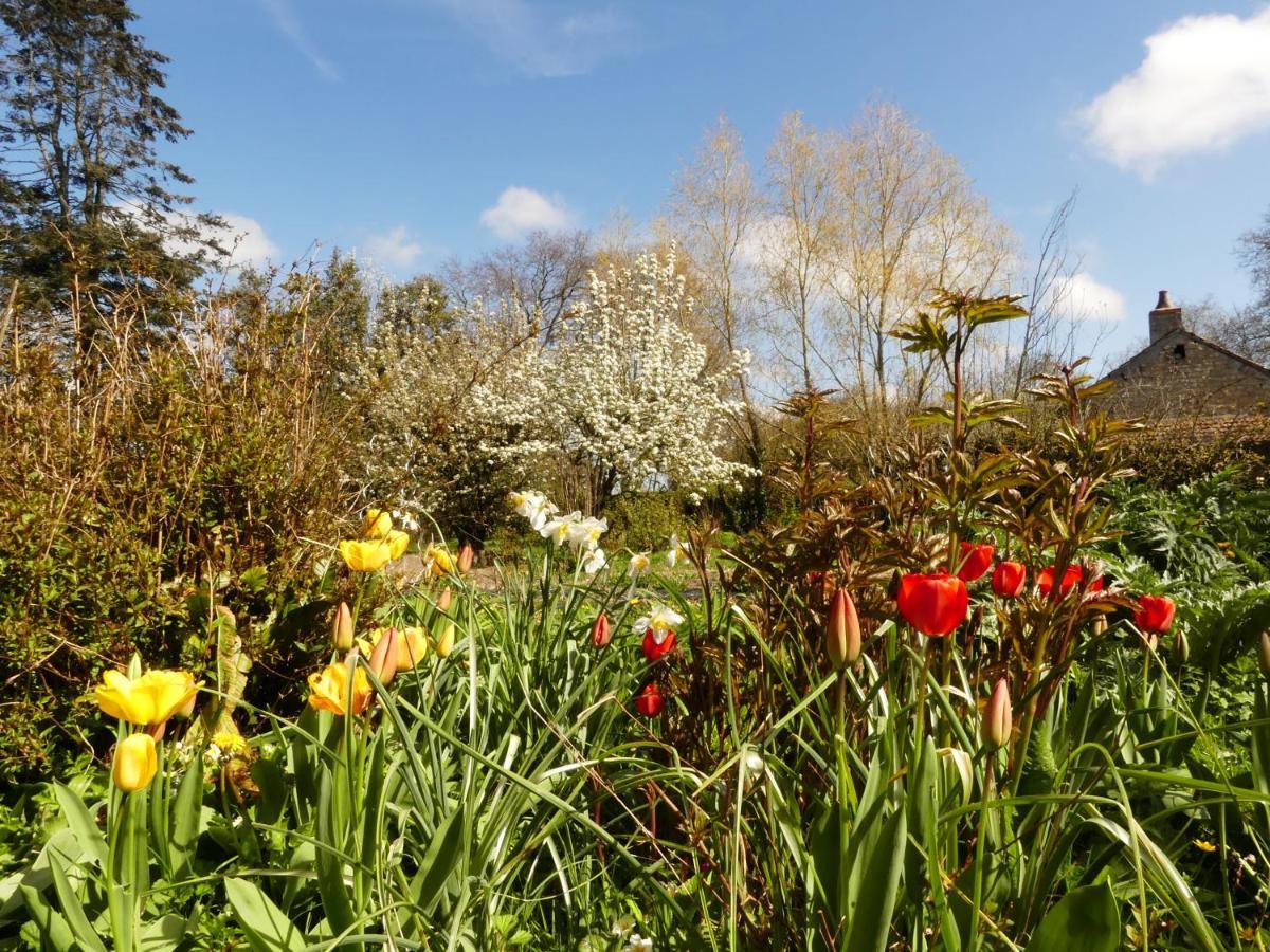 Domaine De La Cour Vautier Bed & Breakfast Mandeville-en-Bessin Eksteriør bilde