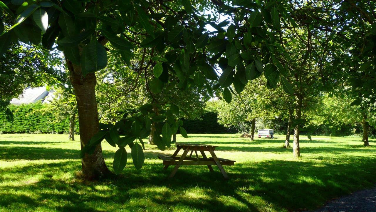 Domaine De La Cour Vautier Bed & Breakfast Mandeville-en-Bessin Eksteriør bilde