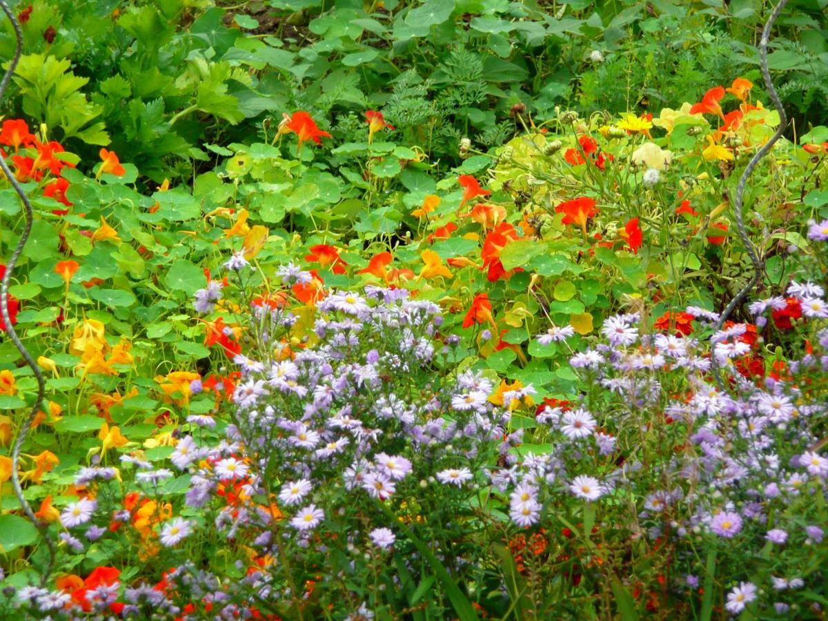 Domaine De La Cour Vautier Bed & Breakfast Mandeville-en-Bessin Eksteriør bilde